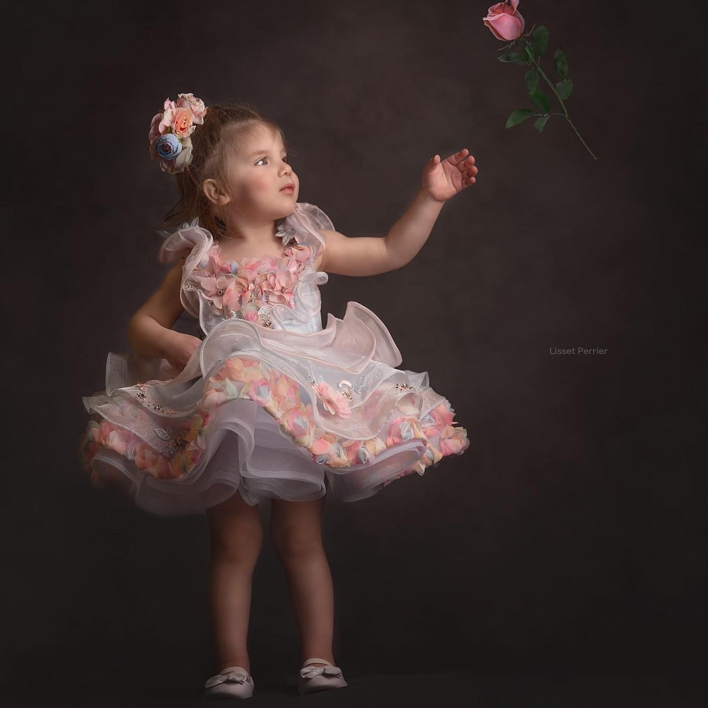 Rainbow Rose - Lil Sister
