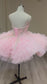PHOTOSHOOT IN A BOX - Prima Ballerina