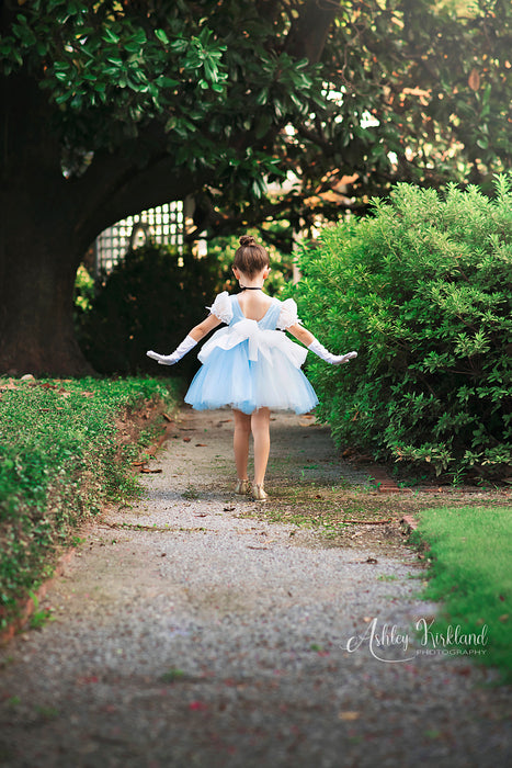 La Petite Princesse Collection - Cinderella Inspired