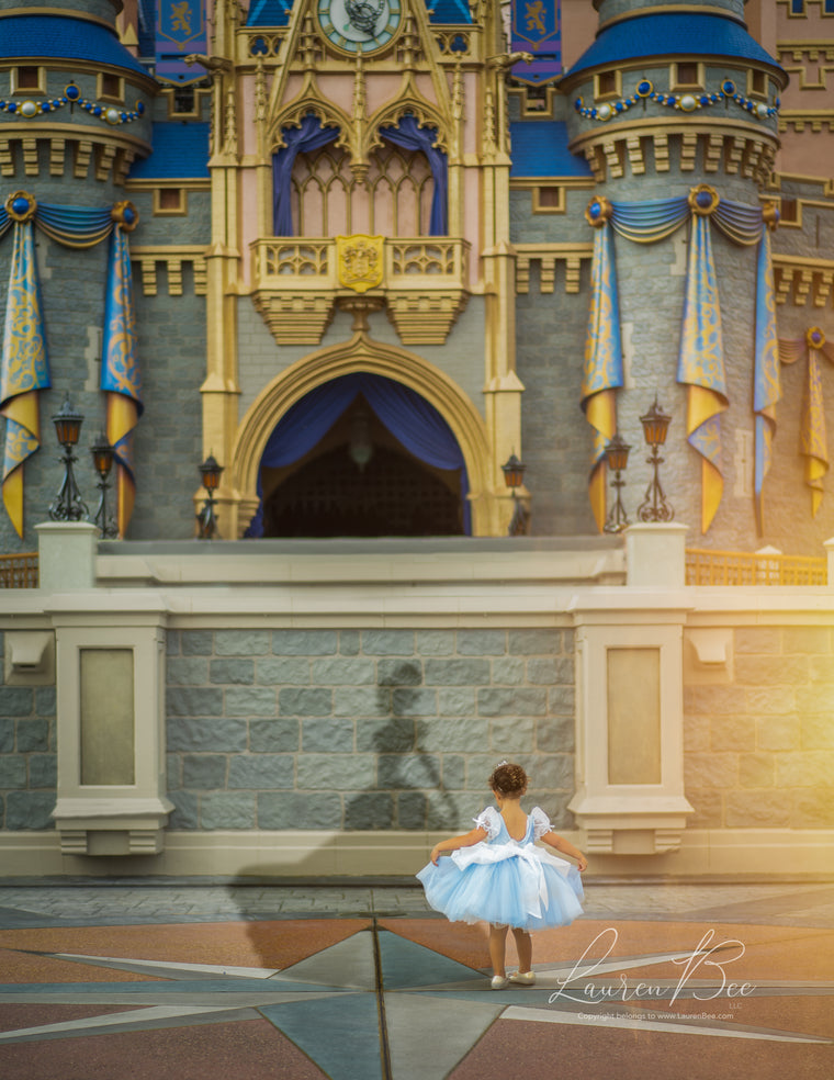 La Petite Princesse Collection - Cinderella Inspired